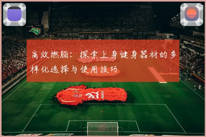 高效燃脂：探索上身健身器材的多样化选择与使用技巧