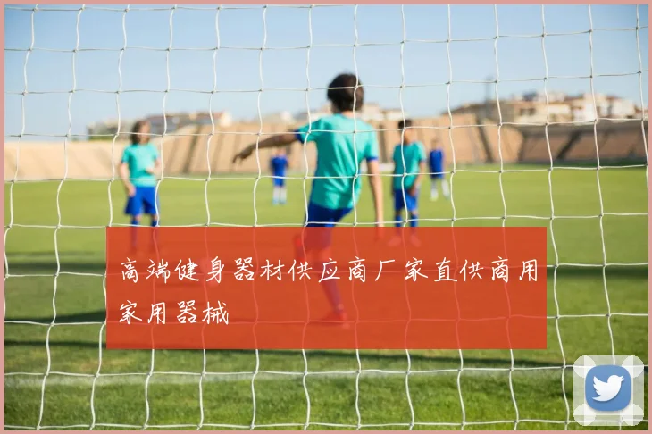 高端健身器材供应商厂家直供商用家用器械