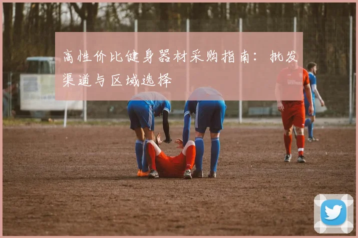 高性价比健身器材采购指南：批发渠道与区域选择