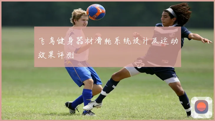 飞鸟健身器材滑轮系统设计及运动效果评测