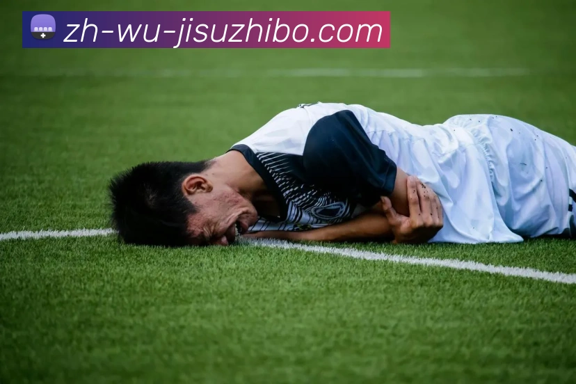 App Interface Preview