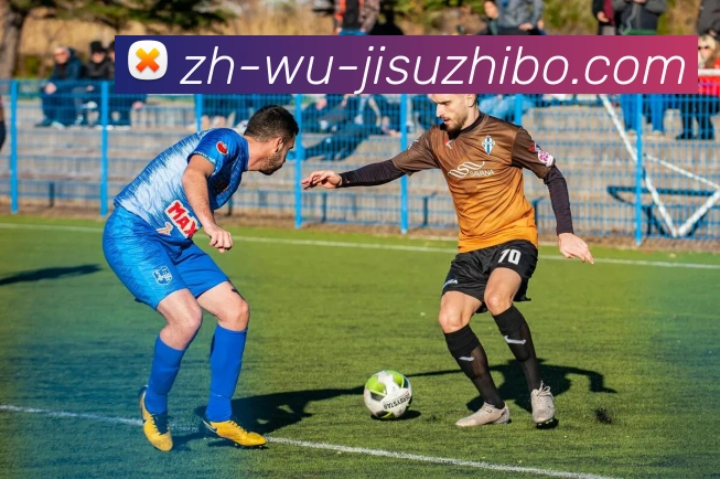 极速直播APP 封面图